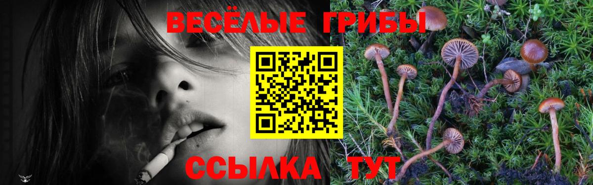 Галлюциногенные грибы MAGIC MUSHROOMS  Псилоцибиновые грибы мицелий  Вход с VPN  Электрогорск 