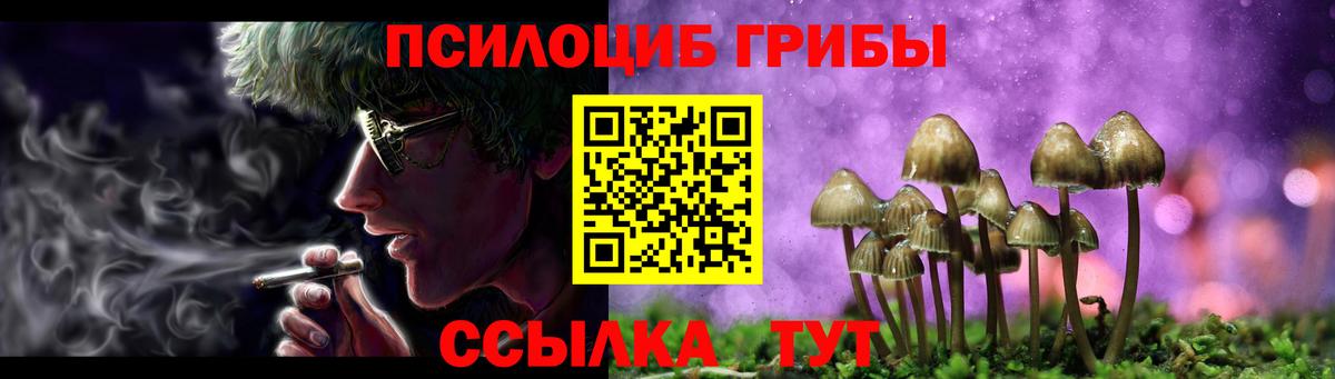 Галлюциногенные грибы мухоморы Электрогорск
